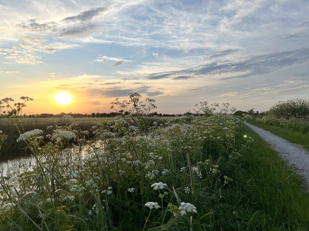 in en om Grootegast is een prachtige, landelijke omgeving.