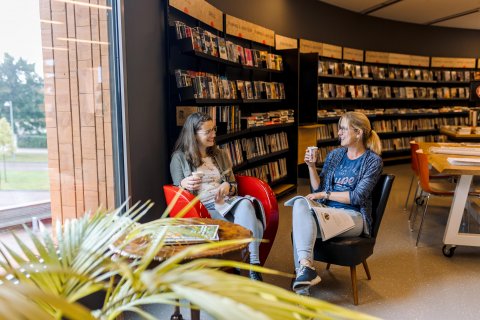 buurtbakkie bibliotheek Grootegast