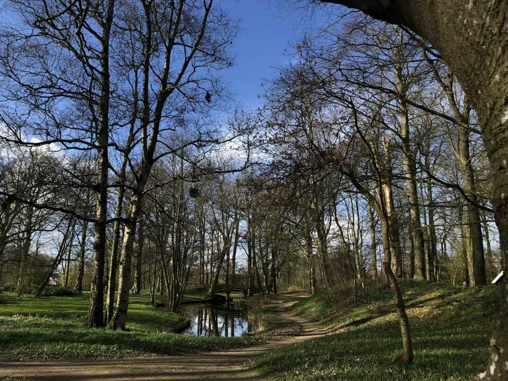 Notoaristuun Grootegast